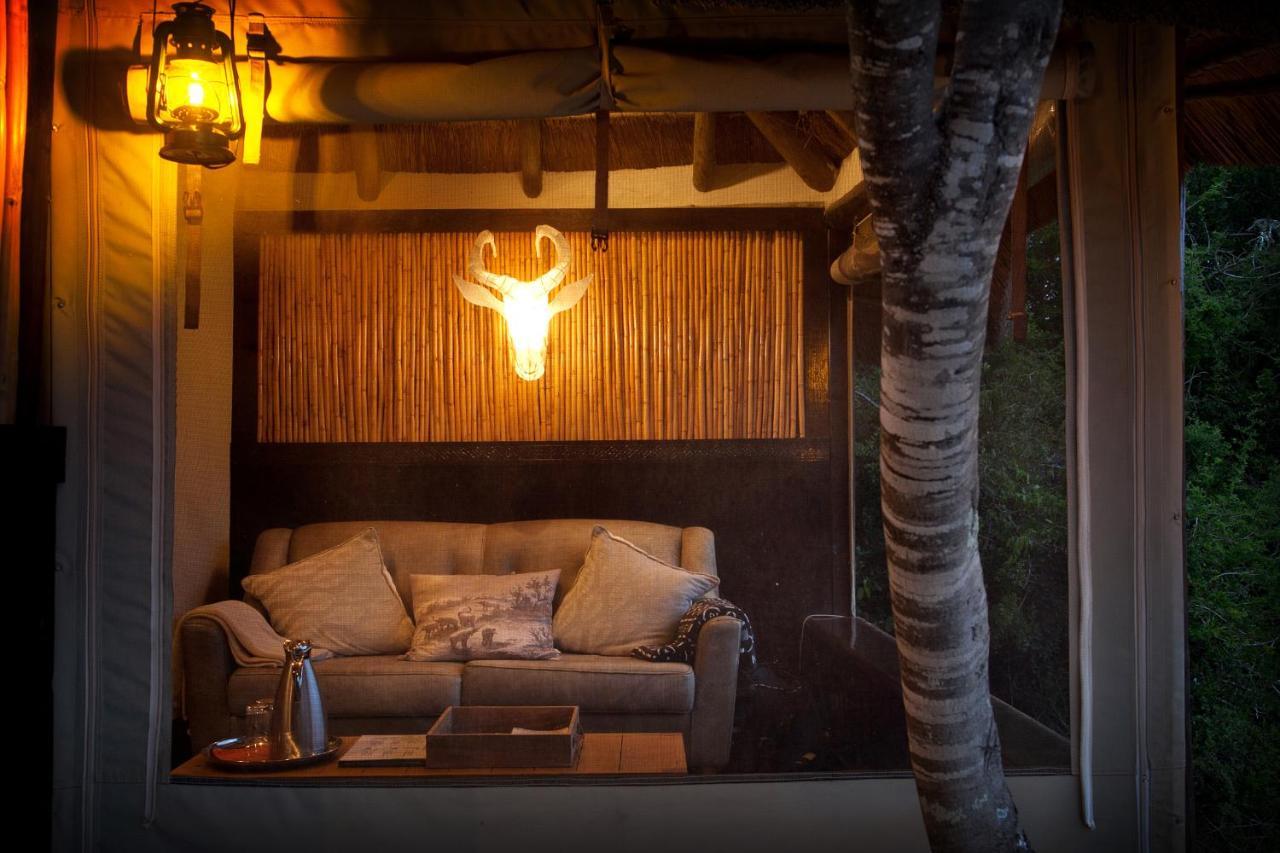 Safari Lodge - محمية أماخالا الطبيعية المظهر الخارجي الصورة