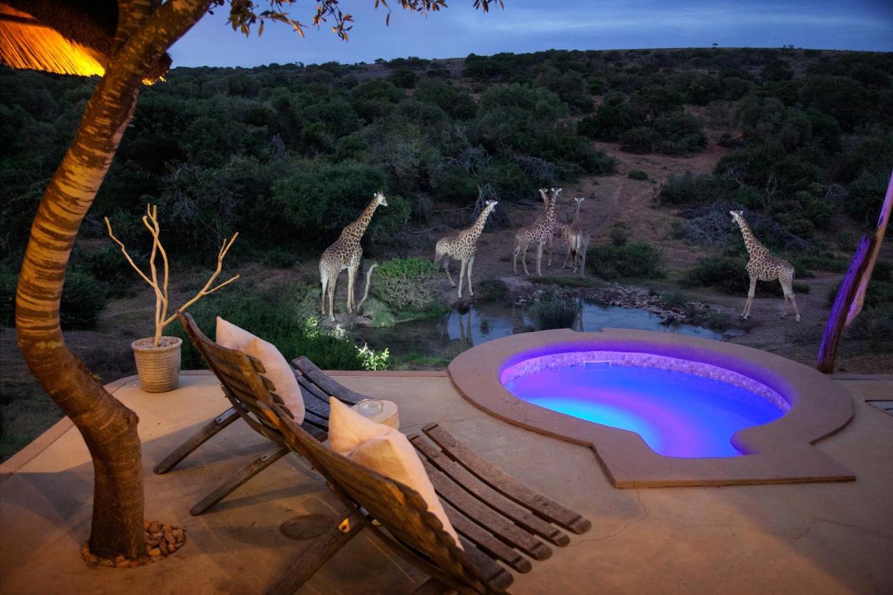 Safari Lodge - محمية أماخالا الطبيعية المظهر الخارجي الصورة