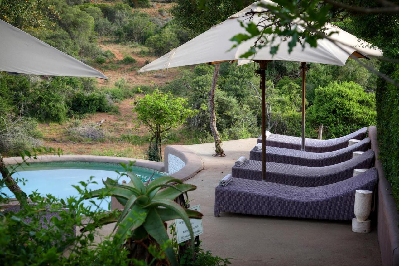 Safari Lodge - محمية أماخالا الطبيعية المظهر الخارجي الصورة