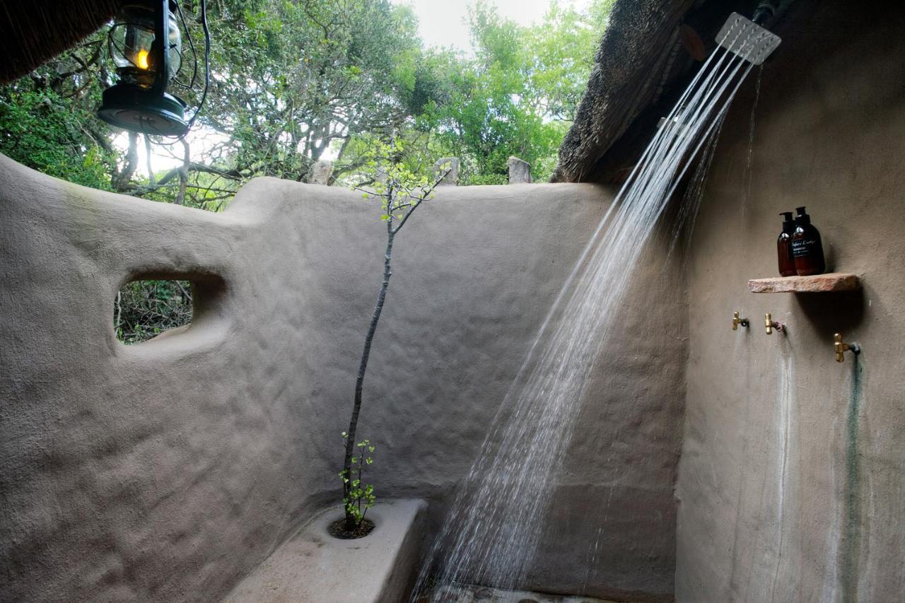 Safari Lodge - محمية أماخالا الطبيعية المظهر الخارجي الصورة