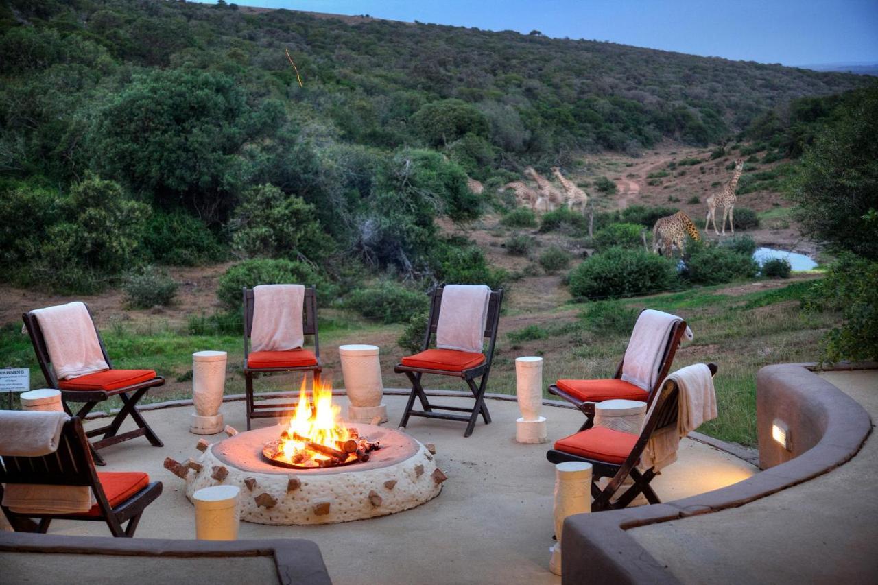 Safari Lodge - محمية أماخالا الطبيعية المظهر الخارجي الصورة