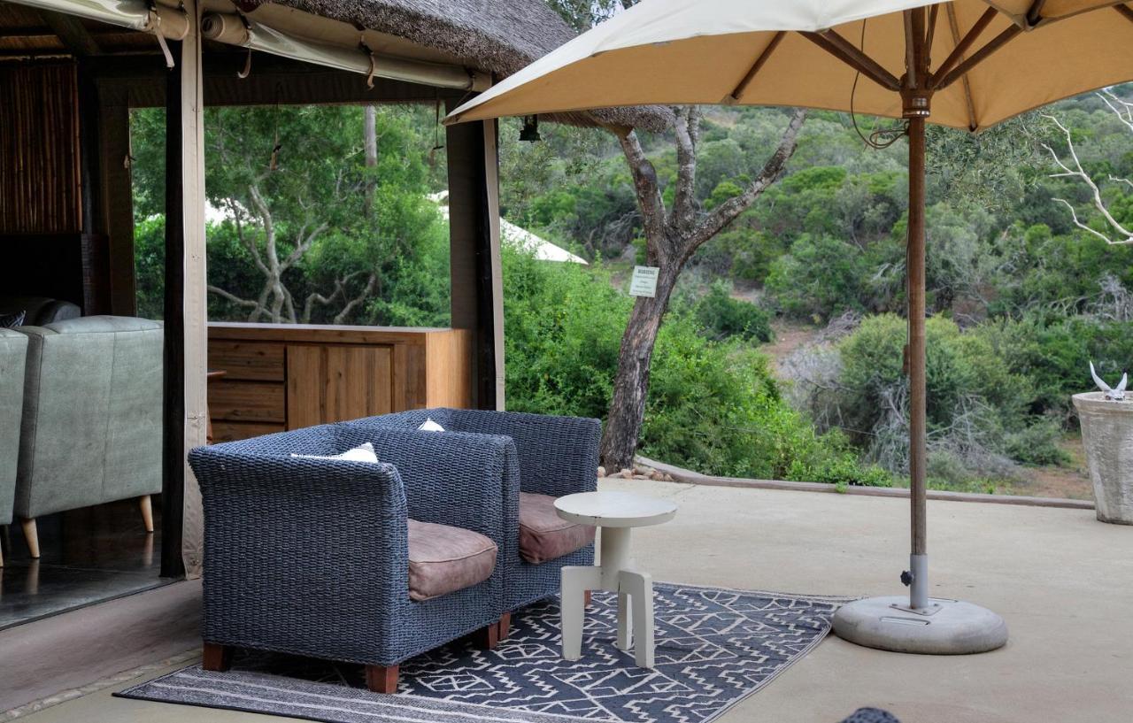 Safari Lodge - محمية أماخالا الطبيعية المظهر الخارجي الصورة