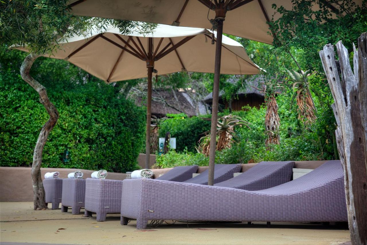 Safari Lodge - محمية أماخالا الطبيعية المظهر الخارجي الصورة