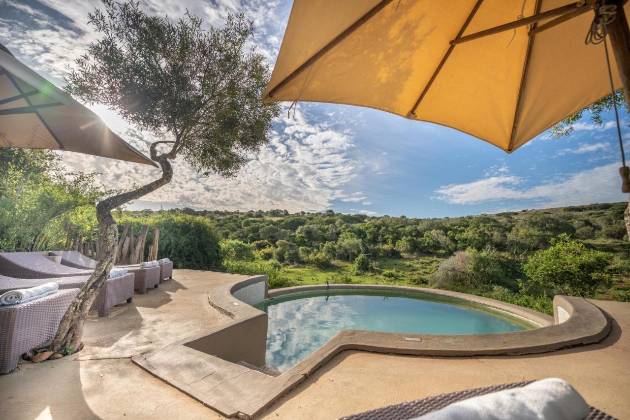 Safari Lodge - محمية أماخالا الطبيعية المظهر الخارجي الصورة